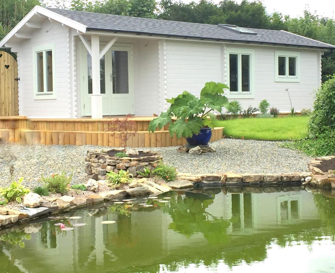 Sunset Hideaway Villa Narberth Eksteriør billede